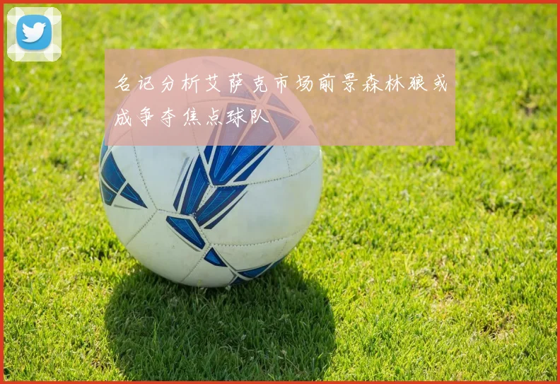 名记分析艾萨克市场前景森林狼或成争夺焦点球队