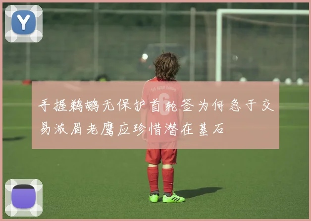 手握鹈鹕无保护首轮签为何急于交易浓眉老鹰应珍惜潜在基石