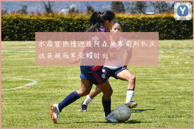水晶宫热情迎接阿森纳赛前列队庆祝英超冠军荣耀时刻
